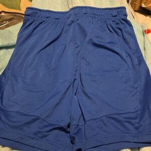 Nike Men's Blue Athletic Shorts Size Large